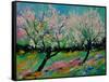 Spring 452121-Pol Ledent-Framed Stretched Canvas