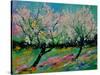 Spring 452121-Pol Ledent-Stretched Canvas