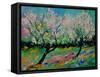 Spring 452121-Pol Ledent-Framed Stretched Canvas