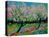 Spring 452121-Pol Ledent-Stretched Canvas