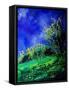 Spring 459050-Pol Ledent-Framed Stretched Canvas