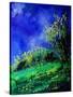 Spring 459050-Pol Ledent-Stretched Canvas