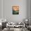 Spring 50170-Pol Ledent-Framed Stretched Canvas displayed on a wall