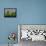 Spring 784110-Pol Ledent-Framed Stretched Canvas displayed on a wall