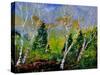 Spring 784110-Pol Ledent-Stretched Canvas