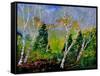 Spring 784110-Pol Ledent-Framed Stretched Canvas