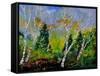 Spring 784110-Pol Ledent-Framed Stretched Canvas