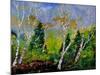 Spring 784110-Pol Ledent-Mounted Premium Giclee Print