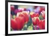 Spring Abstract I-Incredi-Framed Giclee Print