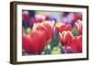 Spring Abstract I-Incredi-Framed Giclee Print