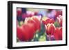 Spring Abstract I-Incredi-Framed Giclee Print