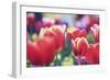 Spring Abstract I-Incredi-Framed Giclee Print