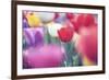 Spring Abstract Ii-Incredi-Framed Giclee Print