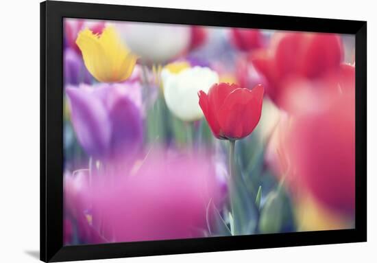 Spring Abstract Ii-Incredi-Framed Giclee Print