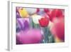 Spring Abstract Ii-Incredi-Framed Giclee Print