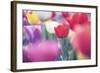 Spring Abstract Ii-Incredi-Framed Giclee Print