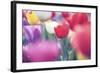 Spring Abstract Ii-Incredi-Framed Giclee Print