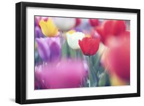 Spring Abstract Ii-Incredi-Framed Giclee Print