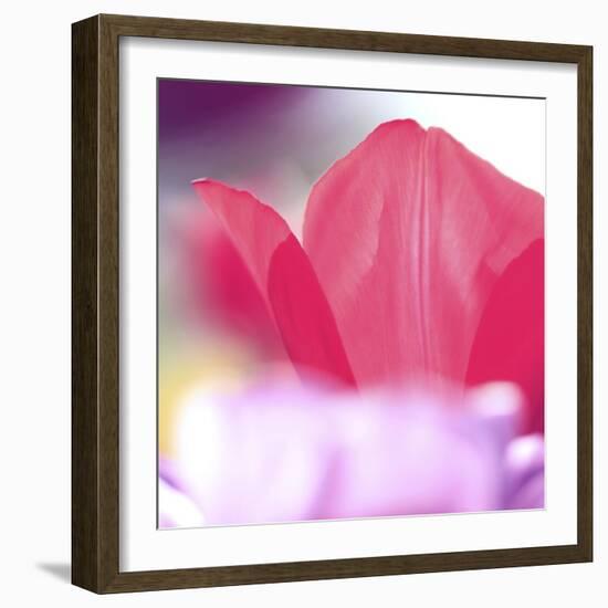 Spring Abstract Iii-Incredi-Framed Giclee Print