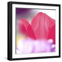 Spring Abstract Iii-Incredi-Framed Giclee Print