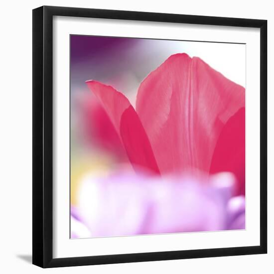 Spring Abstract Iii-Incredi-Framed Giclee Print