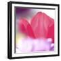 Spring Abstract Iii-Incredi-Framed Giclee Print