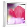 Spring Abstract Iii-Incredi-Framed Giclee Print