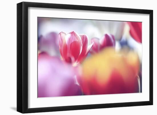 Spring Abstract Iv-Incredi-Framed Giclee Print