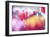 Spring Abstract Iv-Incredi-Framed Giclee Print