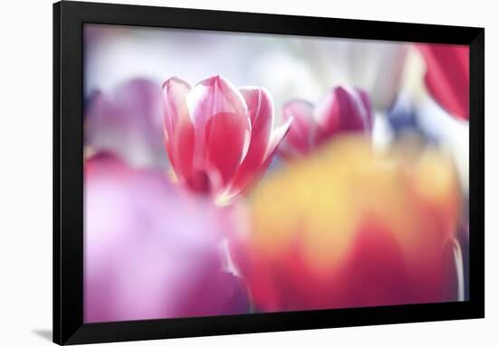 Spring Abstract Iv-Incredi-Framed Giclee Print