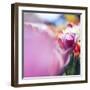 Spring Abstract V-Incredi-Framed Giclee Print