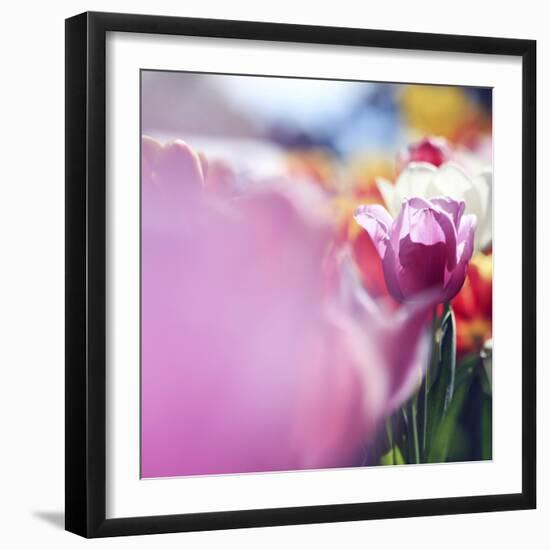 Spring Abstract V-Incredi-Framed Giclee Print