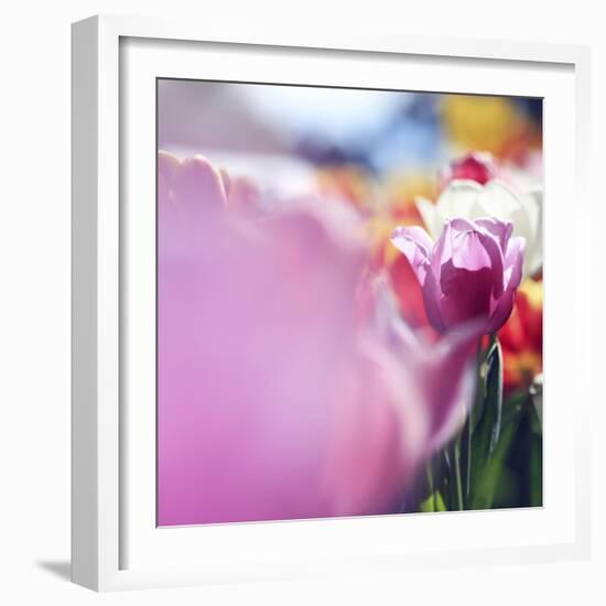 Spring Abstract V-Incredi-Framed Giclee Print