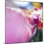 Spring Abstract V-Incredi-Mounted Giclee Print