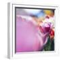 Spring Abstract V-Incredi-Framed Premium Giclee Print