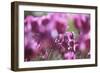 Spring Abstract Vi-Incredi-Framed Giclee Print