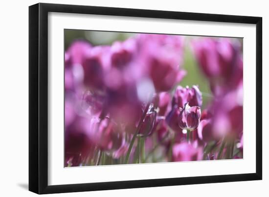 Spring Abstract Vi-Incredi-Framed Giclee Print