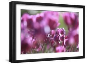 Spring Abstract Vi-Incredi-Framed Giclee Print
