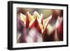 Spring Abstract Vii-Incredi-Framed Giclee Print