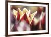 Spring Abstract Vii-Incredi-Framed Giclee Print