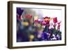 Spring Abstraction-Incredi-Framed Giclee Print