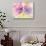 Spring Abstracts Florals I Crop-Albena Hristova-Stretched Canvas displayed on a wall