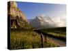 Spring Alpine Flower Meadow and Mountains, Grindelwald, Bern, Switzerland, Europe-Richardson Peter-Stretched Canvas