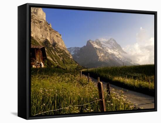 Spring Alpine Flower Meadow and Mountains, Grindelwald, Bern, Switzerland, Europe-Richardson Peter-Framed Stretched Canvas