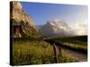 Spring Alpine Flower Meadow and Mountains, Grindelwald, Bern, Switzerland, Europe-Richardson Peter-Stretched Canvas