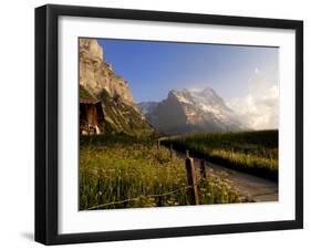 Spring Alpine Flower Meadow and Mountains, Grindelwald, Bern, Switzerland, Europe-Richardson Peter-Framed Photographic Print