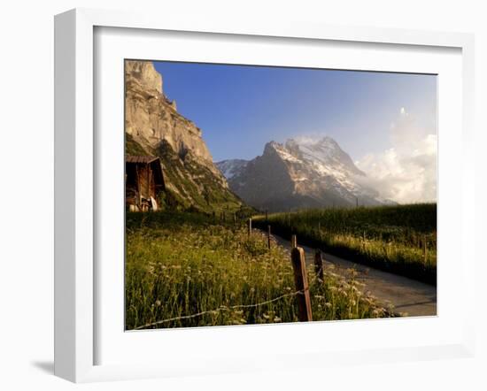 Spring Alpine Flower Meadow and Mountains, Grindelwald, Bern, Switzerland, Europe-Richardson Peter-Framed Photographic Print