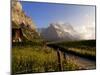 Spring Alpine Flower Meadow and Mountains, Grindelwald, Bern, Switzerland, Europe-Richardson Peter-Mounted Photographic Print