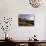 Spring Alpine Flower Meadow and Mountains, Grindelwald, Bern, Switzerland, Europe-Richardson Peter-Photographic Print displayed on a wall