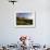 Spring Alpine Flower Meadow and Mountains, Grindelwald, Bern, Switzerland, Europe-Richardson Peter-Framed Photographic Print displayed on a wall